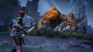 We can't wait to visit Solace and put a stop to the resurgence of the Worm Cult (Image via ZeniMax Online Studios)